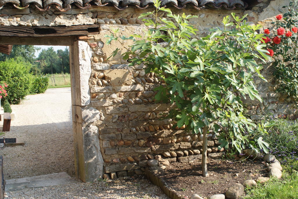 Le Moulin De Champagne Viriat Exterior foto
